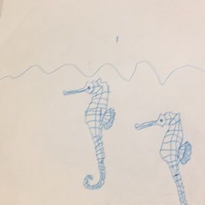 Tow sea horses